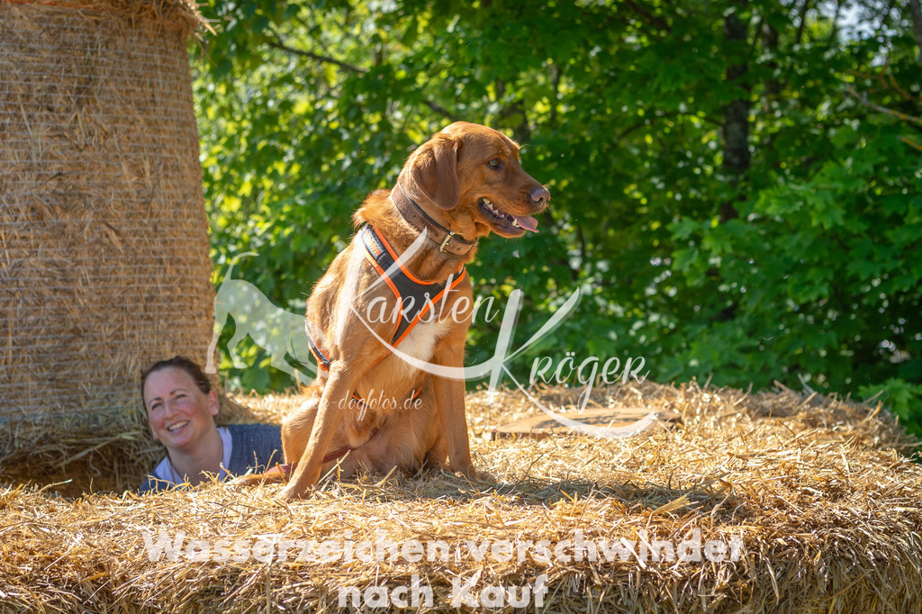 1053STR_5930 | kk-dogfotos
