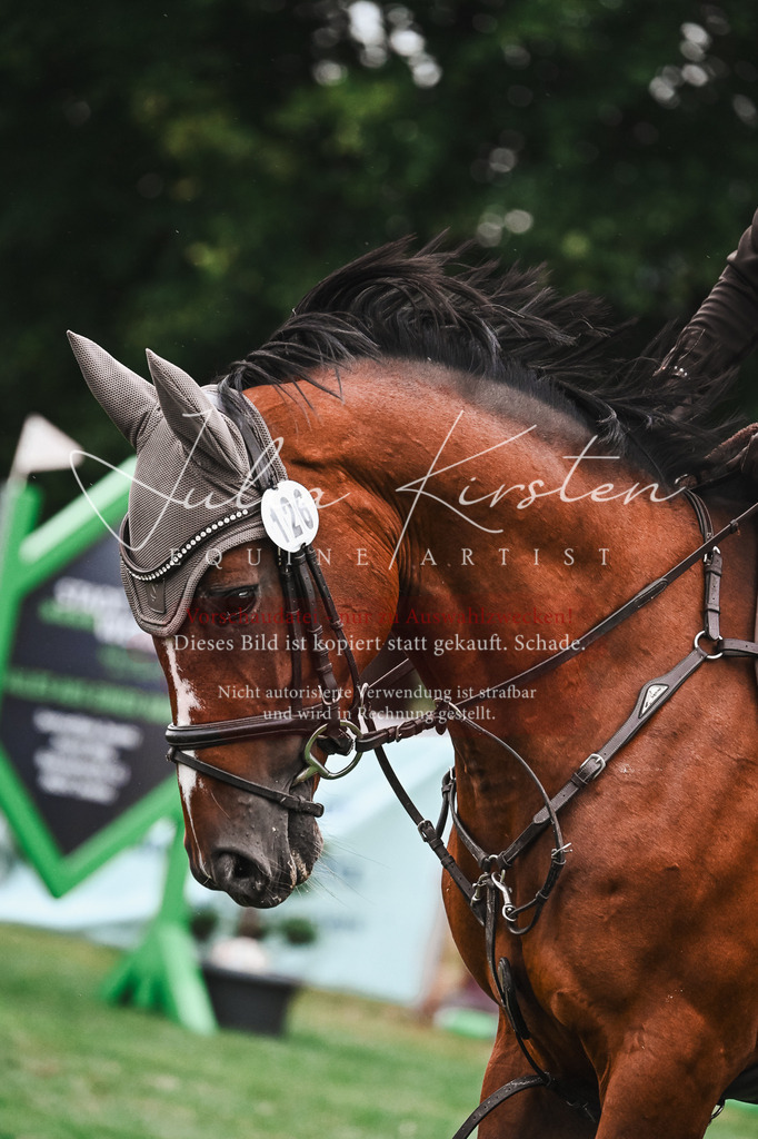 DSC_6488 | Pferde- und Turnierfotografie in Westsachsen. Pferdeportraits, Auftragszeichnungen und intuitive Kunst.