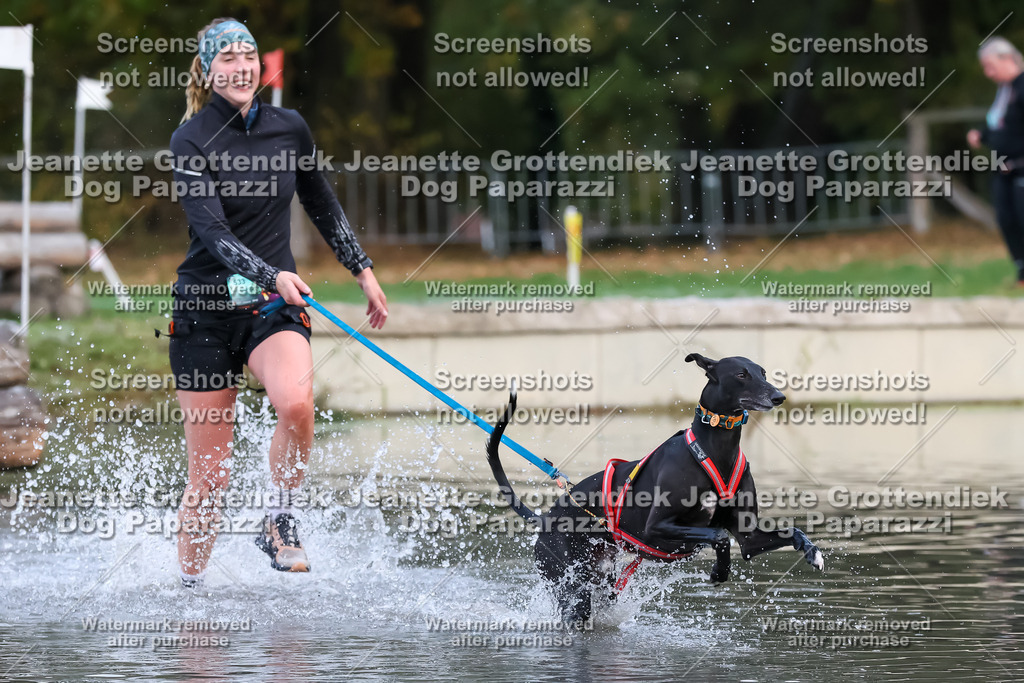 Dog Paparazzi - Strongdog 10-25-6283 | Dog Paparazzi Jeanette Grottendiek Fotografie & Videografie - Realisiert mit Pictrs.com