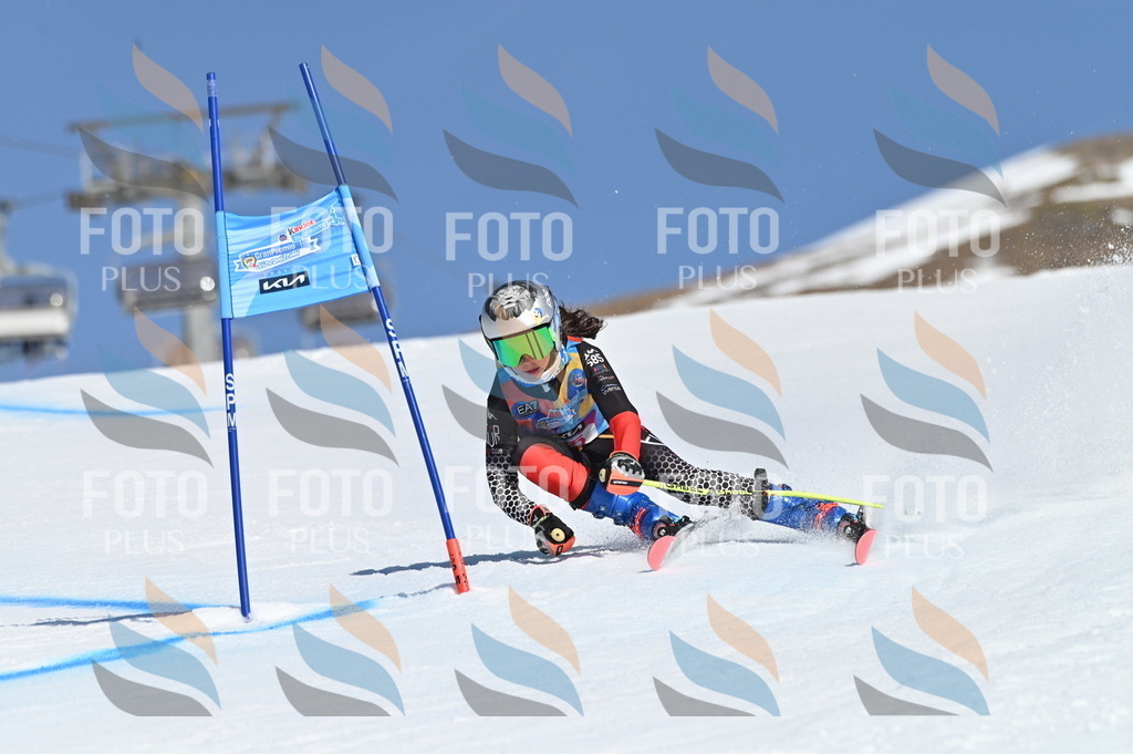 BGV_8442 | holidayphoto