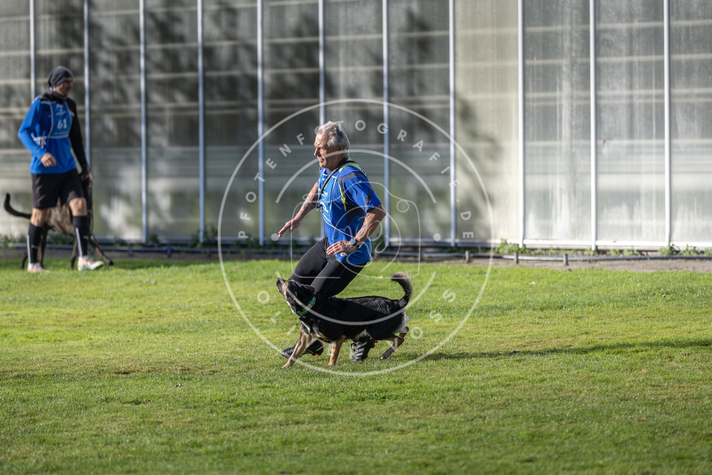 Pfotenfotografie.de_DV3A3333 | Hundefotografie, Tierfotograf, Pfotenfotografie, Fotoshooting Hund, Hunde Portrait, Hundesport, Hundeportraits, Heideshooting, Hunde, Sportfotograf, Hundefotograf, Turnierhundsport, THS, canicross - Realisiert mit Pictrs.com