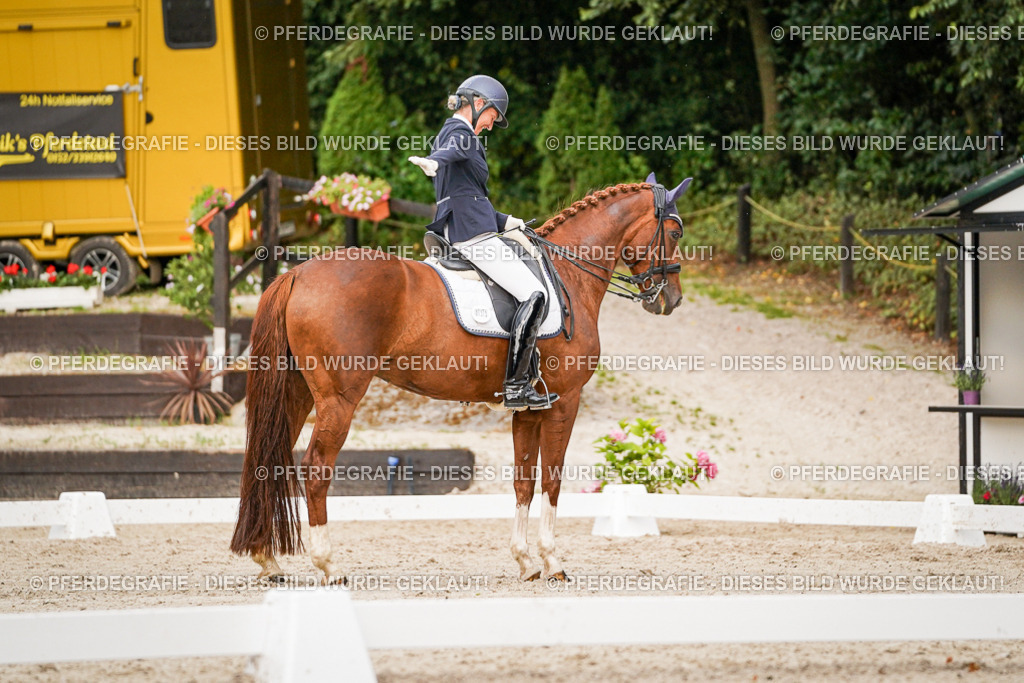 DSC09249 | Pferdegrafie