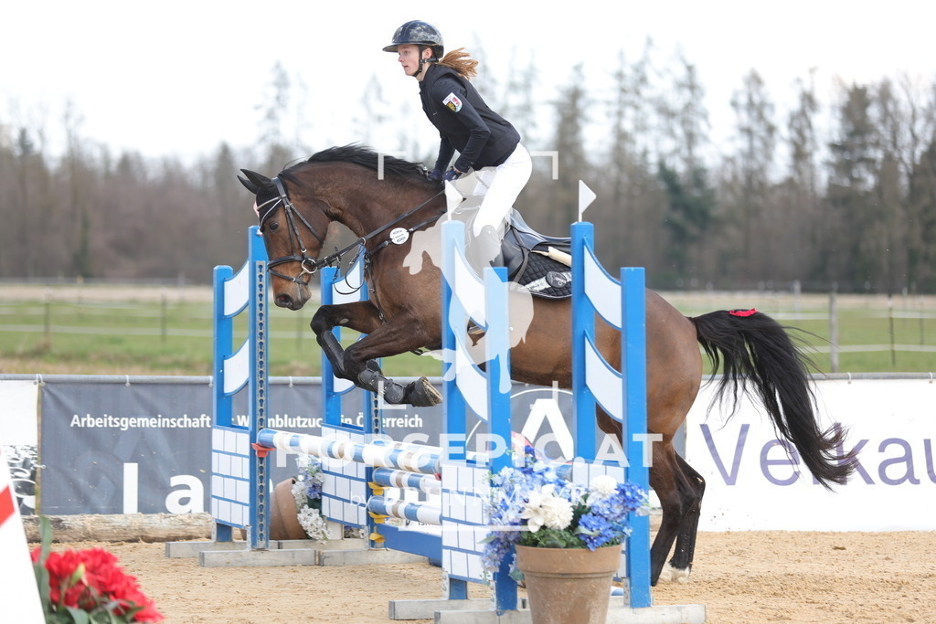 0P6A7218 | Willkommen bei Brunnmayr - Design & Fotografie – Ihrem Spezialisten für Reitturniere und Pferdeveranstaltungen in Oberösterreich, Salzburg und Bayern! Seit über 17 Jahren sind wir leidenschaftlich dabei.