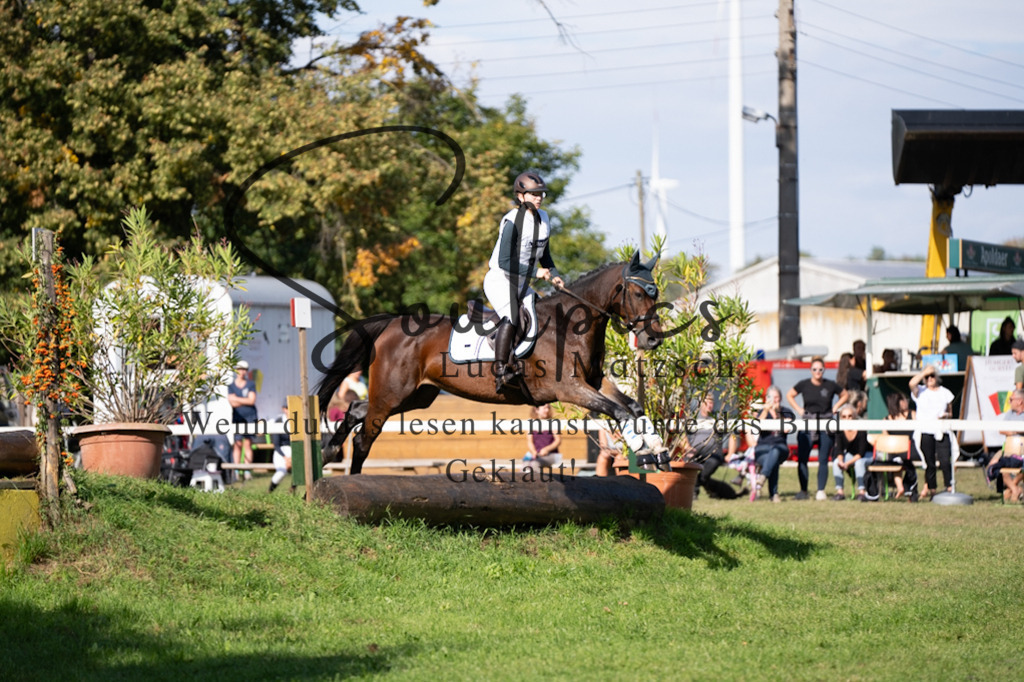 A7V03384 | Pferdefotograf