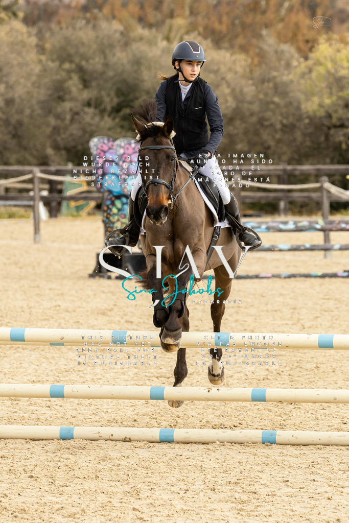 IMG_4589 | s-jay-photography - Realisiert mit Pictrs.com