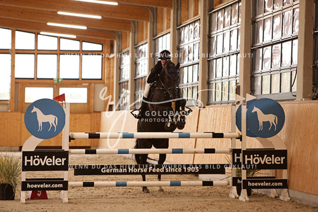 1J2A5142Mira Leinert_ Cilenos L_ Kn139_ Glantz_ Hohen Wieschendorf | Foto- und Videografie für alles rund ums Pferd. Hochwertige Bilder und Videos vom Spring- und Dressurreiten, Voltigieren & mehr. Jetzt aktuelle Veranstaltungen und Preise im Shop ansehen. - Realisiert mit Pictrs.com