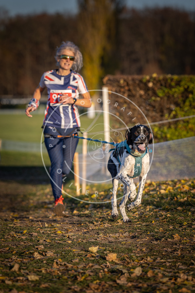 CaniXpix_DV3A4620 | Hundefotografie, Tierfotograf, Pfotenfotografie, Fotoshooting Hund, Hunde Portrait, Hundesport, Hundeportraits, Heideshooting, Hunde, Sportfotograf, Hundefotograf, Turnierhundsport, THS,  - Realisiert mit Pictrs.com