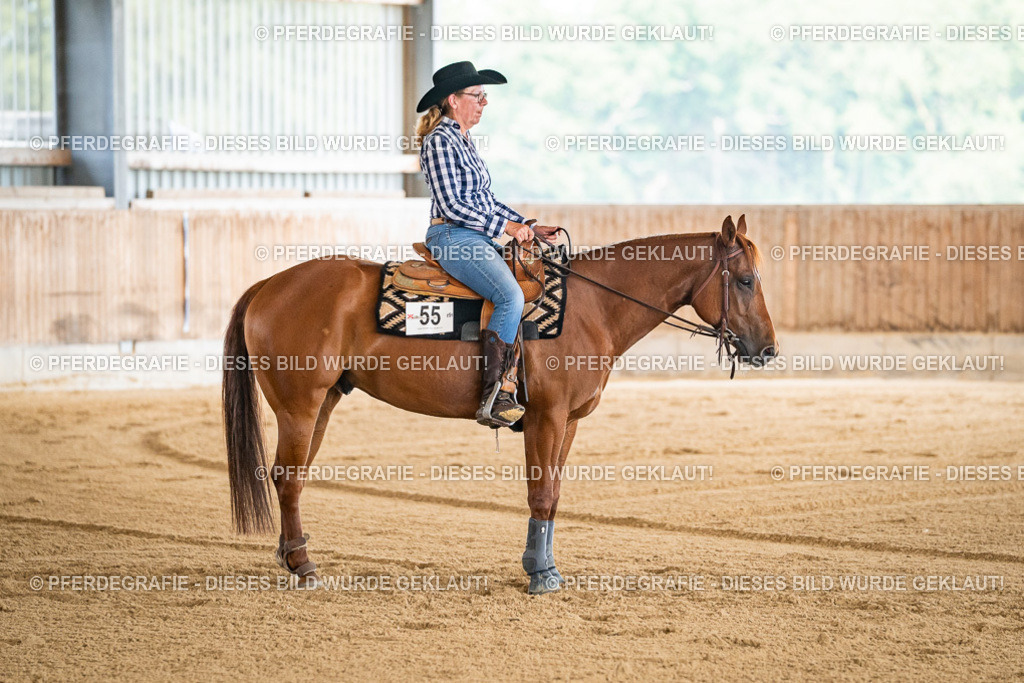 DSC04313 | Pferdegrafie