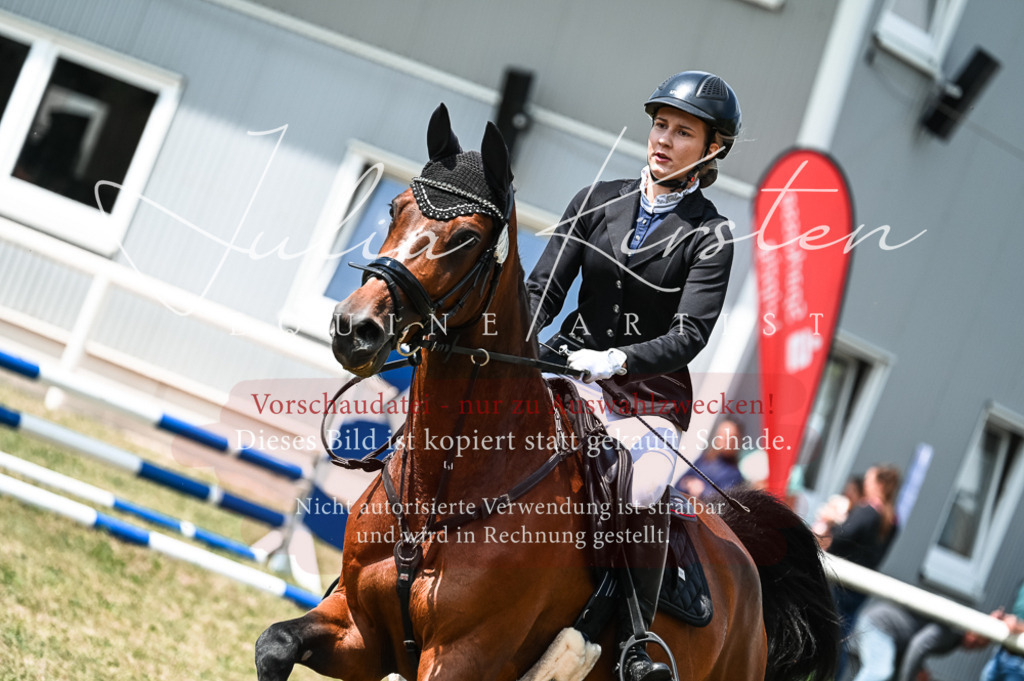 DSC_9438 | Pferde- und Turnierfotografie in Westsachsen. Pferdeportraits, Auftragszeichnungen und intuitive Kunst.