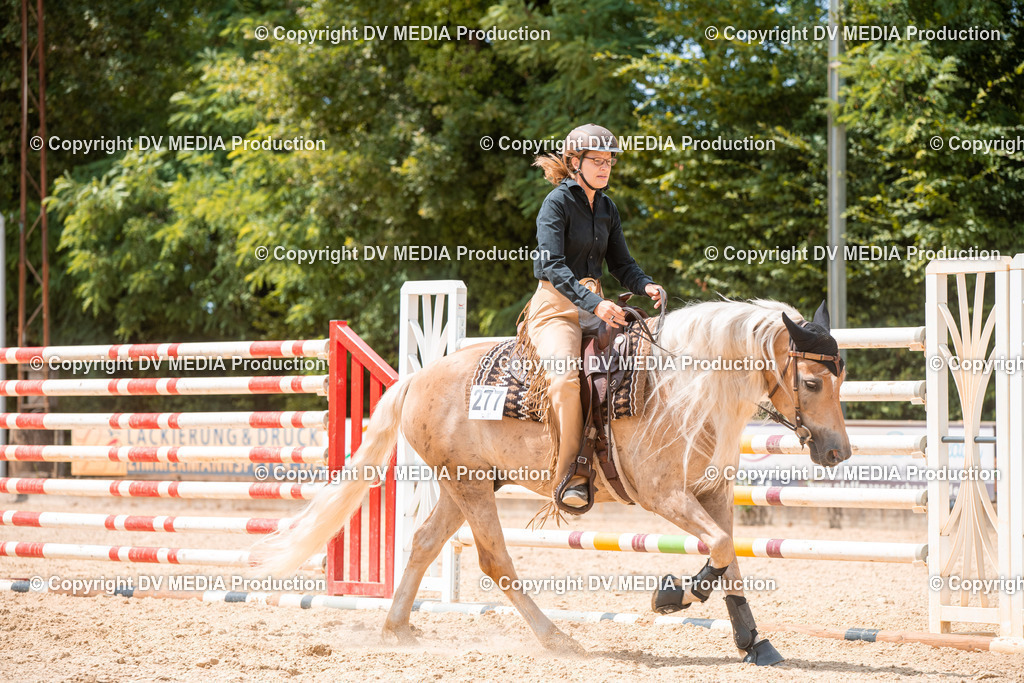 EWP_6528 | dv-media-shop - Realisiert mit Pictrs.com