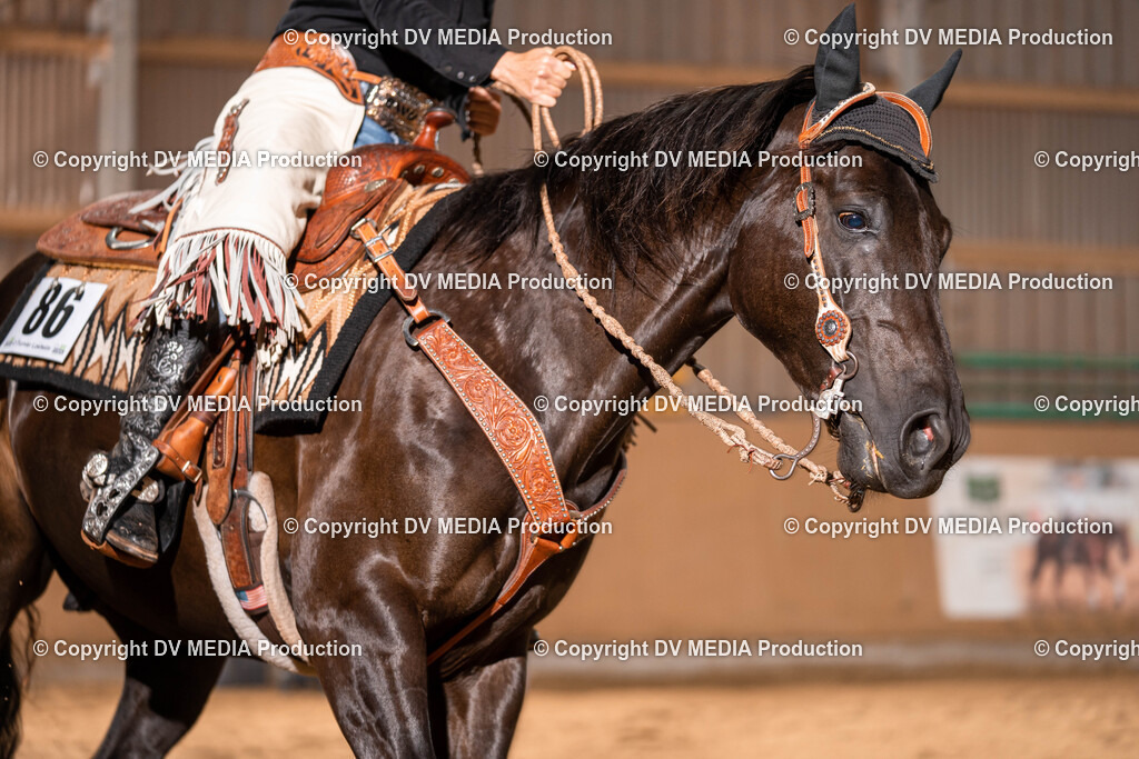 Losheim Tag 1-59 | dv-media-shop - Realisiert mit Pictrs.com