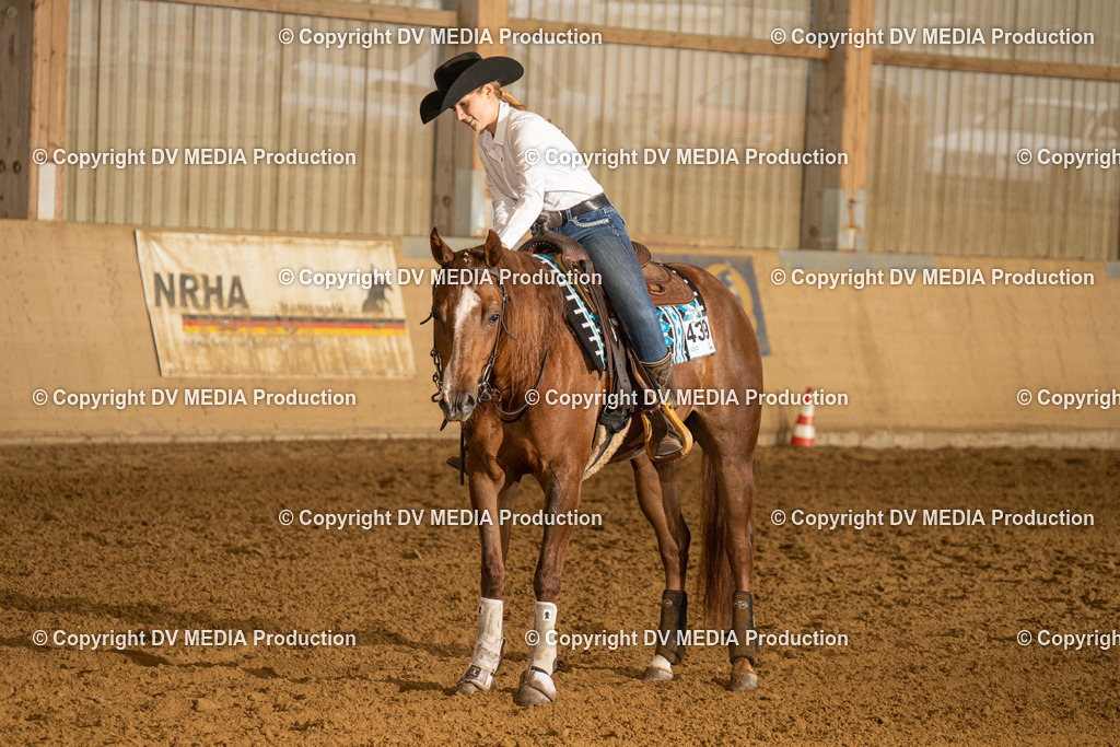 LAU00322 | dv-media-shop - Realisiert mit Pictrs.com