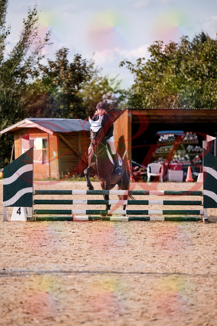 2026_10_03_Siefer-Hof_153547_Z81_47776854 | Professionelle Reitsport-, Turnier- und Eventfotografie von Robert Broda. Galerien mit ausgewählten und bearbeiteten Bildern direkt online ansehen und bestellen.