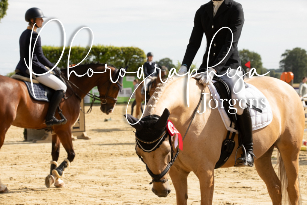 IMG_6659 | photographesa-joergens - Realisiert mit Pictrs.com