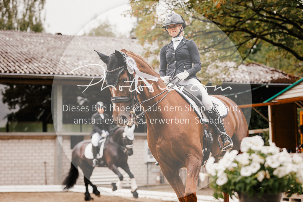3I6A7869 | Stimmungsvolle Portraits und Reitsportfotografie im Ruhrgebiet und im Münsterland.

Pferdefotografie, Hundefotografie, Tierfotografie, Reportagen, Portraits von Tier und Mensch, Turnierfotografie in Bochum, Recklinghausen, Marl, Haltern am See, Dülmen.. - Realisiert mit Pictrs.com