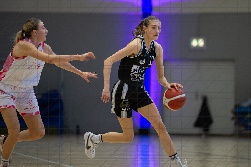 2. DBBL PlayOff 24/25 | 12.04.2025 | Dillingen Diamonds vs. BBC OS | 1/8-Finale, 2. Spiel  | 2. DBBL PlayOff 24/25 | 12.04.2025 | Dillingen Diamonds vs. BBC OS | 1/8-Finale, 2. Spiel  - - - - - CREDIT, www.bullenfotos.de, Martin König, Hörner Weg 40, D-49078 Osnabrück, +4917663732967, Nutzung und Weitergabe nur zu den vereinbarten Zwecken. Presseanfragen an Urheber. Alle Rechte beim Urheber. - - - - - - Realisiert mit Pictrs.com