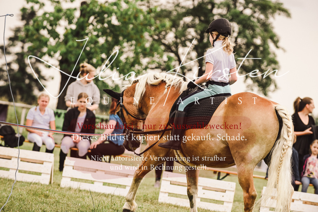 DSC_5244 | Pferde- und Turnierfotografie in Westsachsen. Pferdeportraits, Auftragszeichnungen und intuitive Kunst.