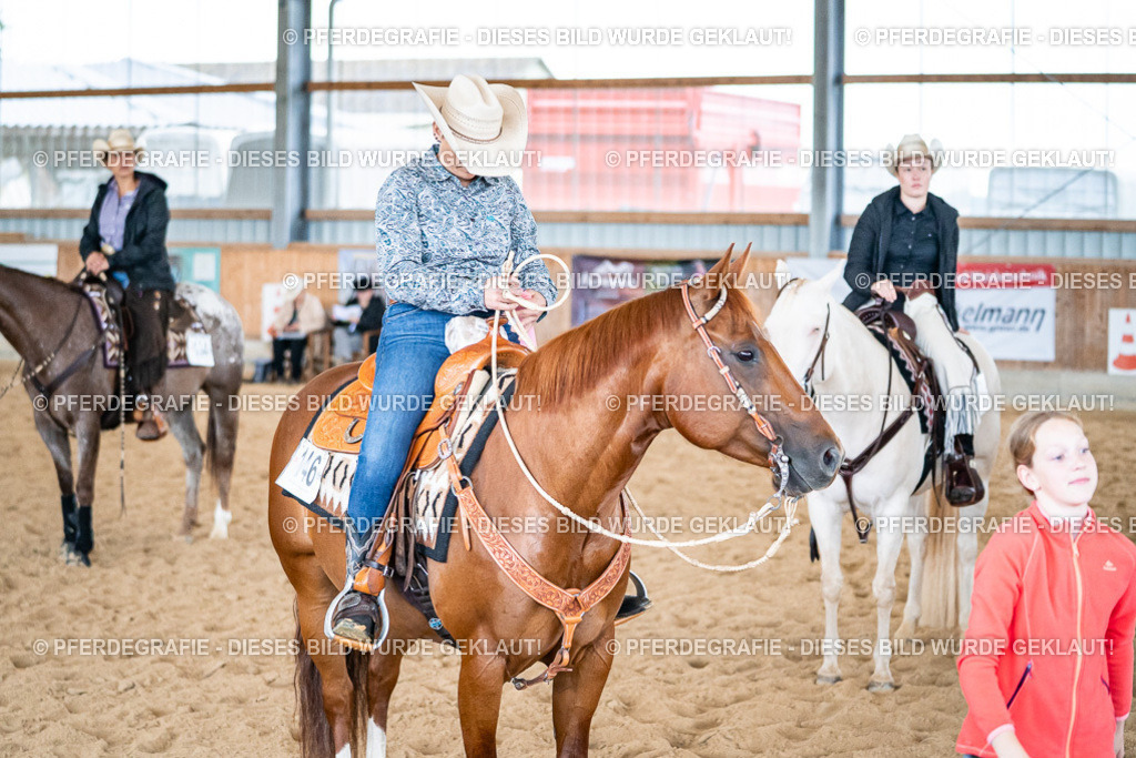 DSC03473 | Pferdegrafie