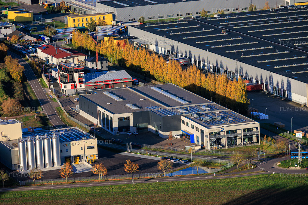 Luftbild: Südpfalzwerkstatt in Offenbach an der Queich im Bundesland Rheinland-Pfalz in Deutschland. Foto: IMG_150590.jpg vom 30.10.2025 durch Werner Riehm/FLY-FOTO.deStarker Partner mit sozialer Verantwortung - Südpfalzwerkstatt