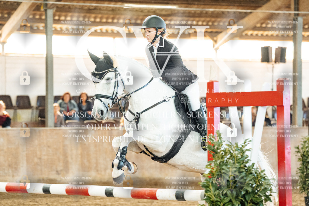 CK904612 | Turnierfotografie Pferdefotografie Trier Rheinland-Pfalz Pferdesport Reitsport Tierfotografie Sportfotografie Pferdevideo Pferdevideografie Equestrianvideography equestrianphotography  - Realisiert mit Pictrs.com