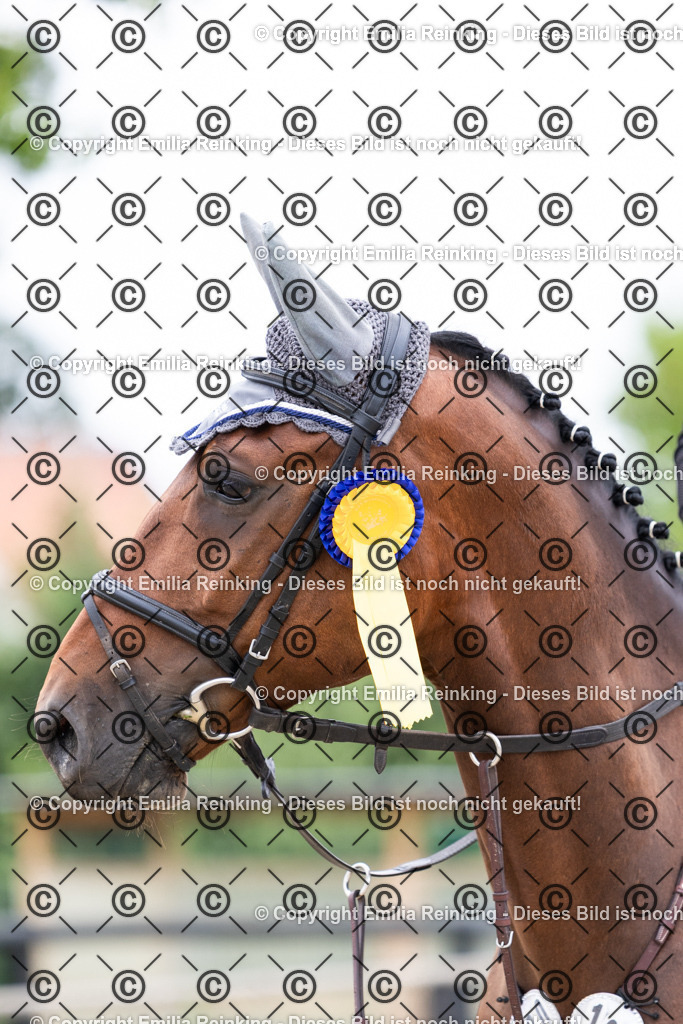 CL5A5139 | Emilia Reinking Fotografie - Realisiert mit Pictrs.com