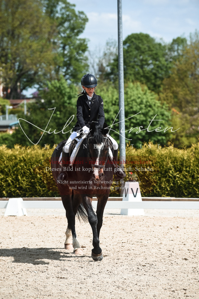 20230518_JK-Röhrsdorf-11-0708 | Pferde- und Turnierfotografie in Westsachsen. Pferdeportraits, Auftragszeichnungen und intuitive Kunst.