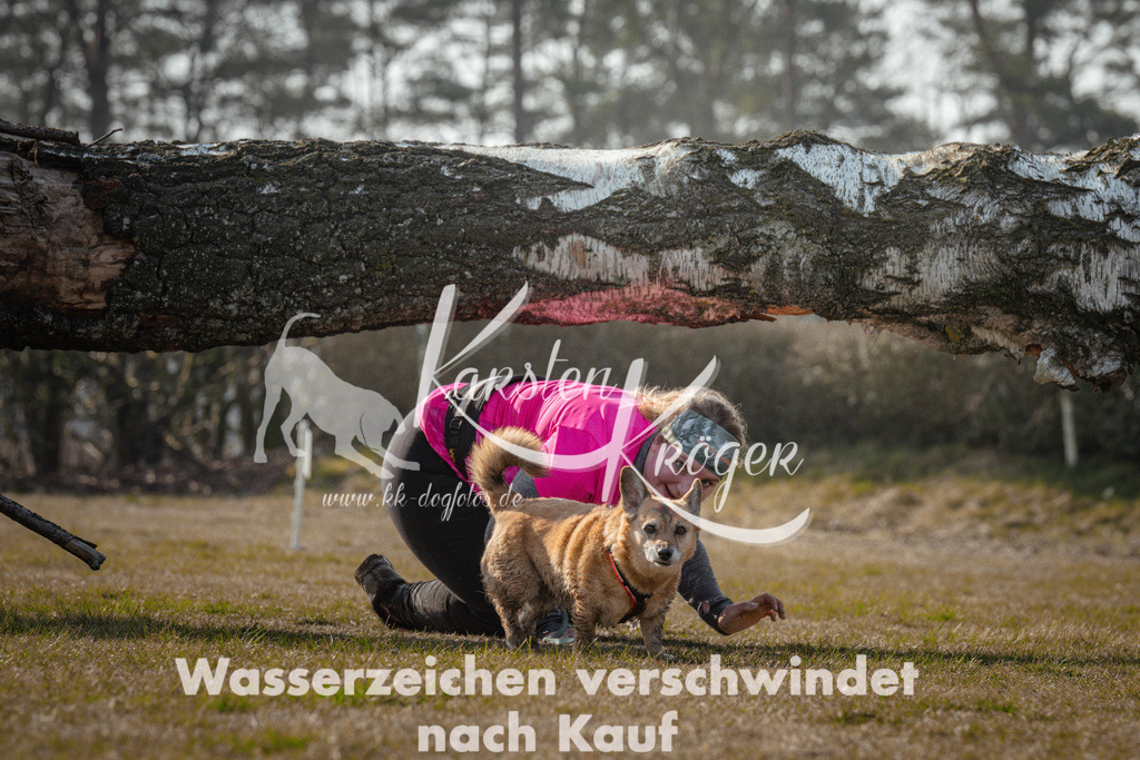 1031_ZZ92778 | kk-dogfotos