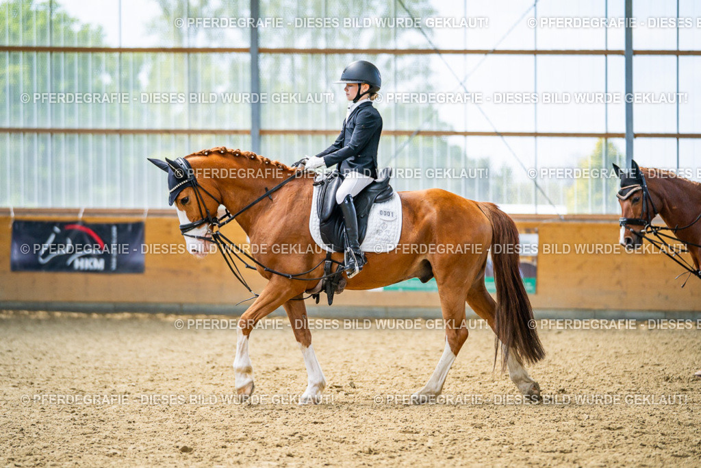 DSC04508 | Pferdegrafie