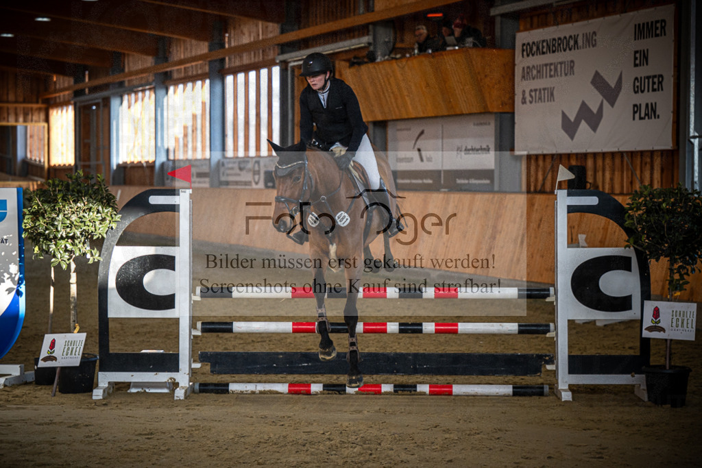 DOS_1133 | Entdecke hochwertige Reitturnierfotos von Foto Oger. Professionell, emotional und authentisch – jetzt Lieblingsmomente im Shop bestellen.Deutschlandweite Turnierfotografie. - Realisiert mit Pictrs.com