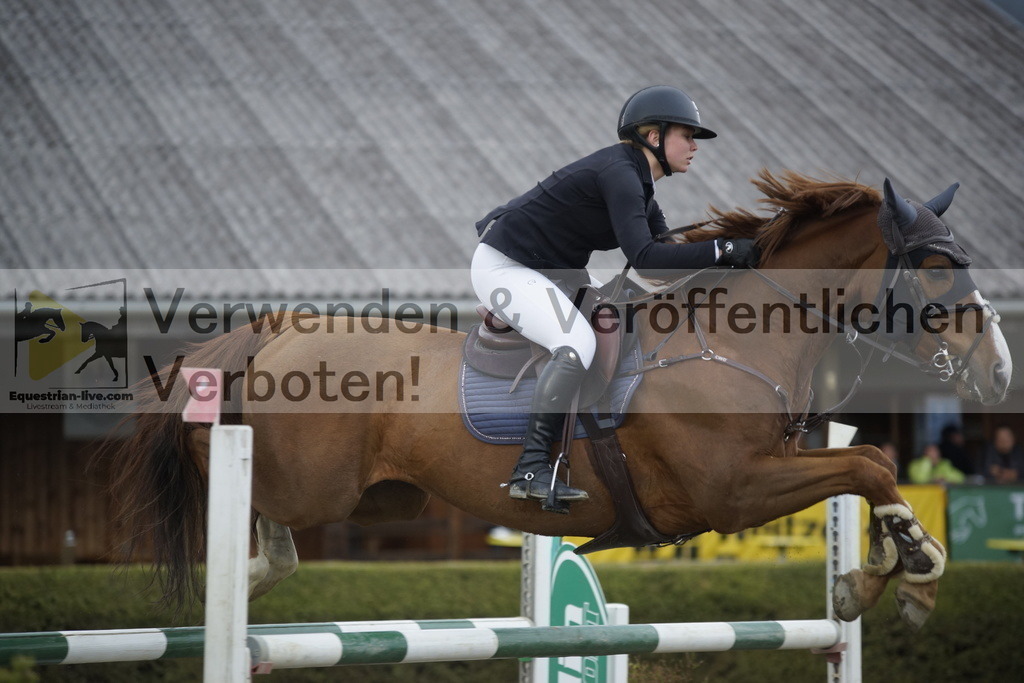 _DSC8197 | equestrian-live-com