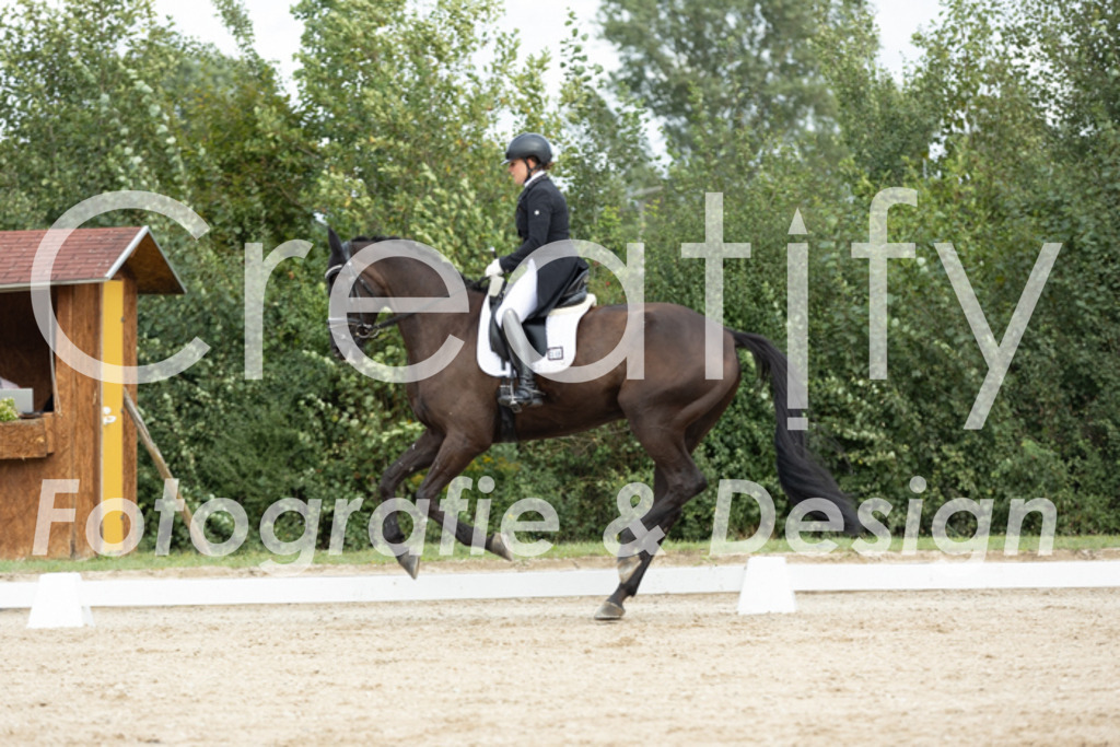 IMG_6835 | Creatify Fotografie