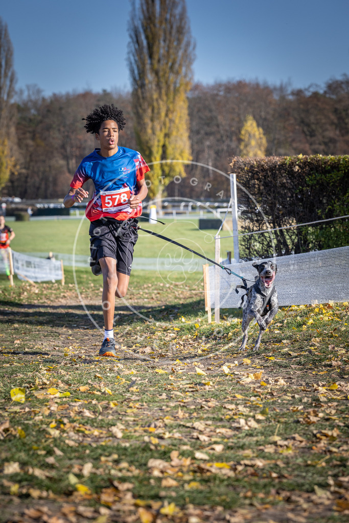 CaniXpix_DV3A9011 | Hundefotografie, Tierfotograf, Pfotenfotografie, Fotoshooting Hund, Hunde Portrait, Hundesport, Hundeportraits, Heideshooting, Hunde, Sportfotograf, Hundefotograf, Turnierhundsport, THS,  - Realisiert mit Pictrs.com