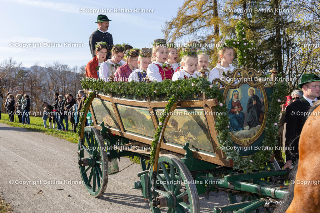 LBT24-1181 | foto-bettina-krinner - Realisiert mit Pictrs.com