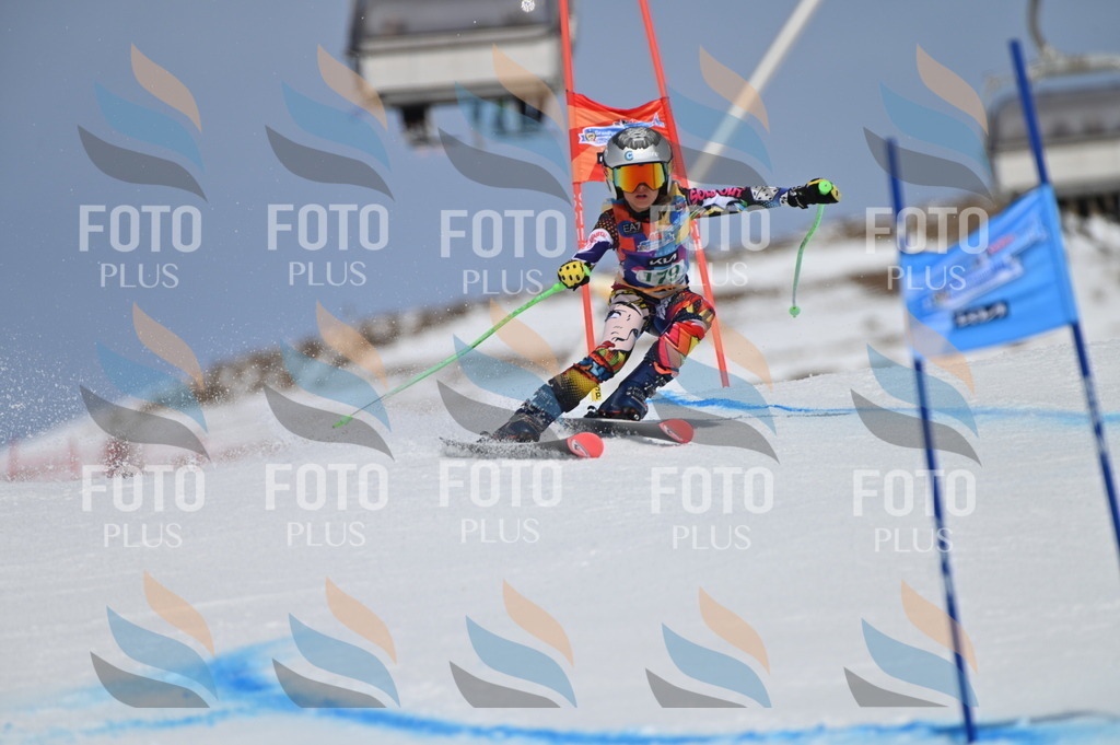 BGV_3516 | holidayphoto