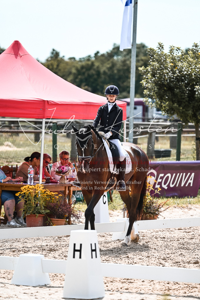 DSC_5201 | Pferde- und Turnierfotografie in Westsachsen. Pferdeportraits, Auftragszeichnungen und intuitive Kunst.