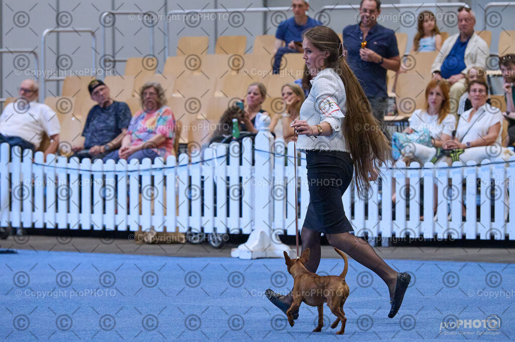 202406_ÖKV-IHA-Tulln24_DSC_3846 | proPHOTO - Realisiert mit Pictrs.com