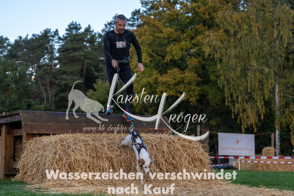 0819_ZZ90399 | kk-dogfotos