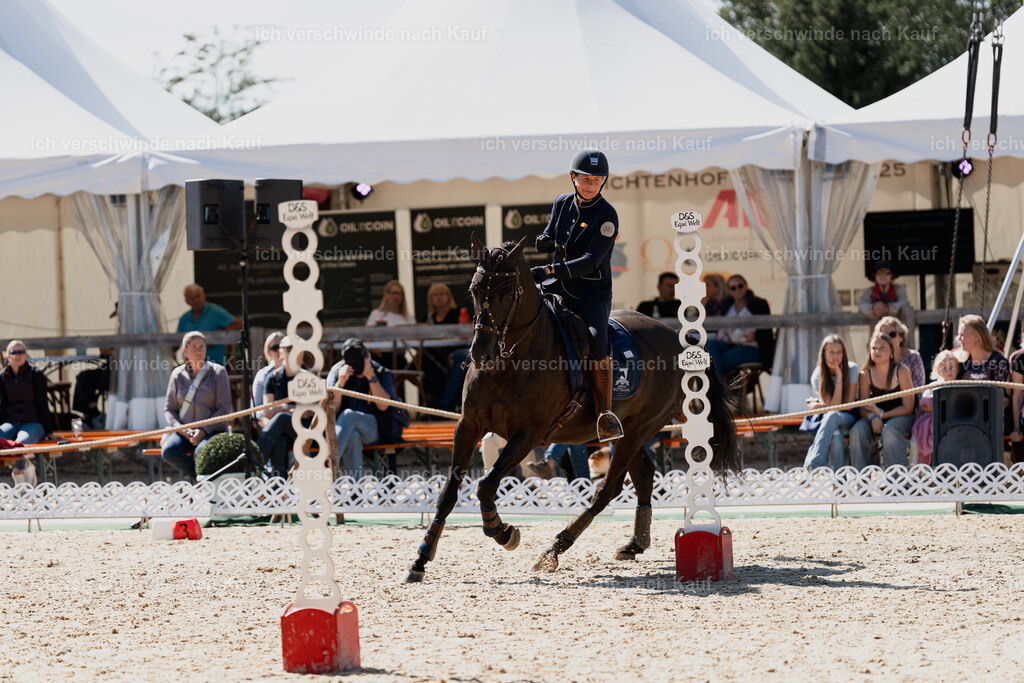 Mirjam25_FHC2025-08663 | working equitationturnier fotograf videograf stoibphotography marixx film working equitation deutschland reitsport turnierfotografie eventfotografie equestrian events