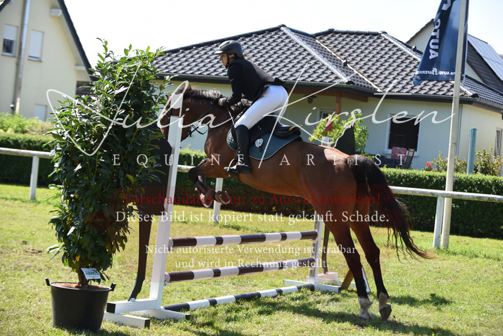 DSC_9336 | Pferde- und Turnierfotografie in Westsachsen. Pferdeportraits, Auftragszeichnungen und intuitive Kunst.