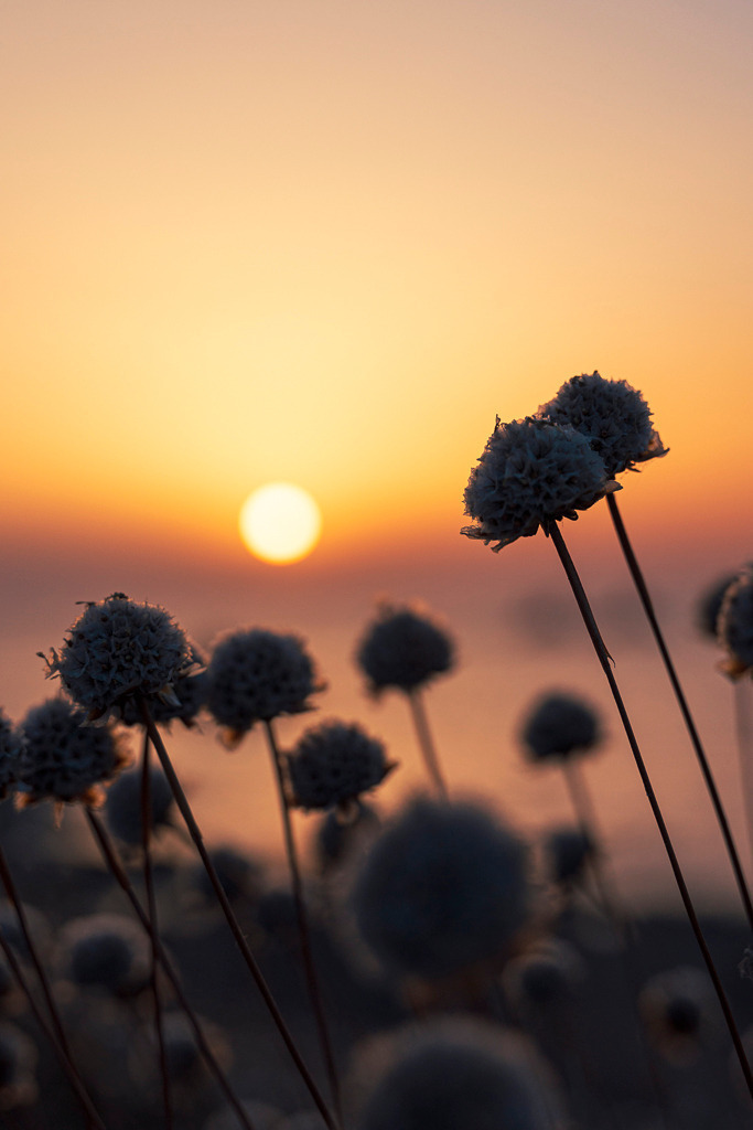 Sonnenuntergang auf Sardinien | Sardinien im sanften Licht der untergehenden Sonne – Silhouetten der Natur vor einem Himmel in warmen Pastelltönen. - Realisiert mit Pictrs.com