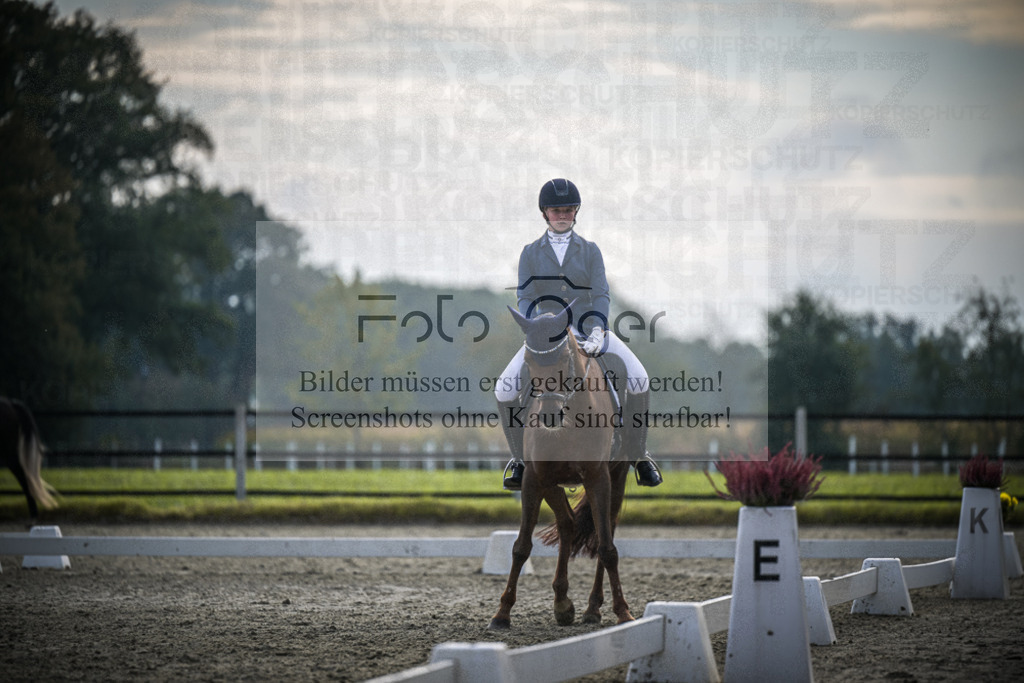 DOS_B169 | Entdecke hochwertige Reitturnierfotos von Foto Oger. Professionell, emotional und authentisch – jetzt Lieblingsmomente im Shop bestellen.Deutschlandweite Turnierfotografie. - Realisiert mit Pictrs.com