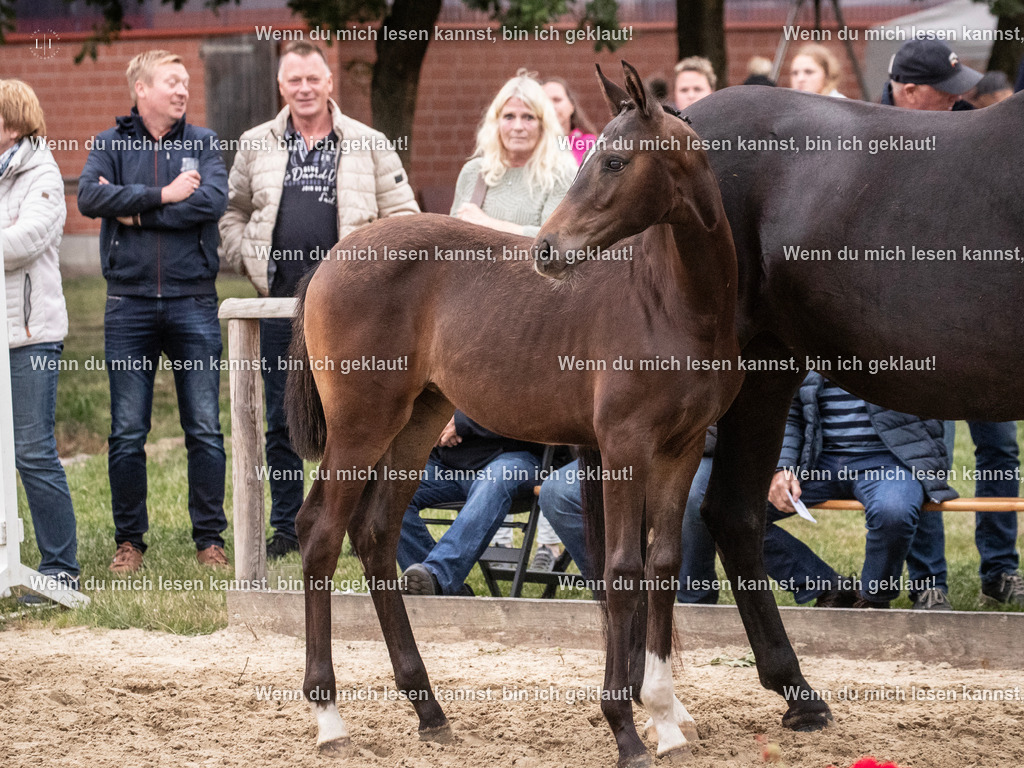 A10I7343 | photographylinaismer - Realisiert mit Pictrs.com