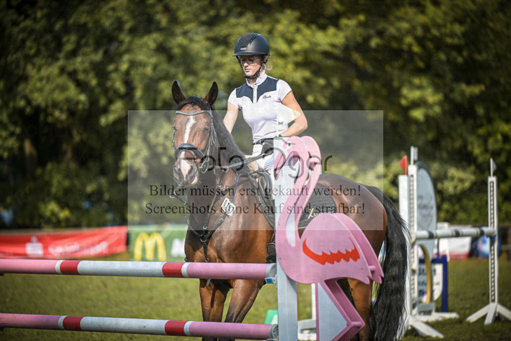 DOS_0122 | Entdecke hochwertige Reitturnierfotos von Foto Oger. Professionell, emotional und authentisch – jetzt Lieblingsmomente im Shop bestellen.Deutschlandweite Turnierfotografie. - Realisiert mit Pictrs.com
