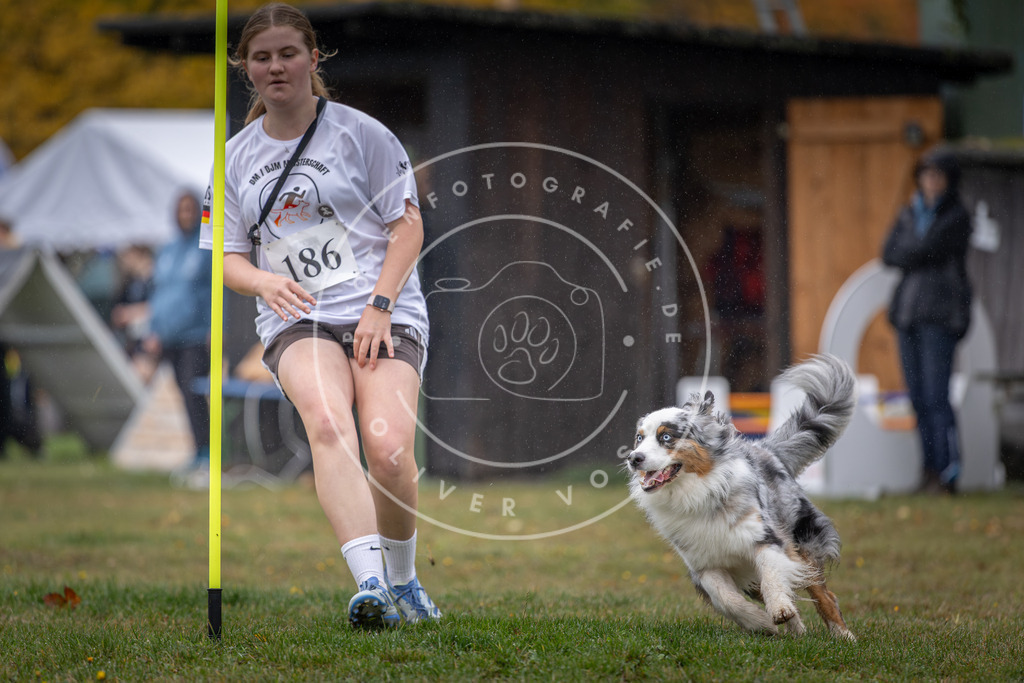 Pfotenfotografie_DV3A9780 | Hundefotografie, Tierfotograf, Pfotenfotografie, Fotoshooting Hund, Hunde Portrait, Hundesport, Hundeportraits, Heideshooting, Hunde, Sportfotograf, Hundefotograf, Turnierhundsport, THS,  - Realisiert mit Pictrs.com
