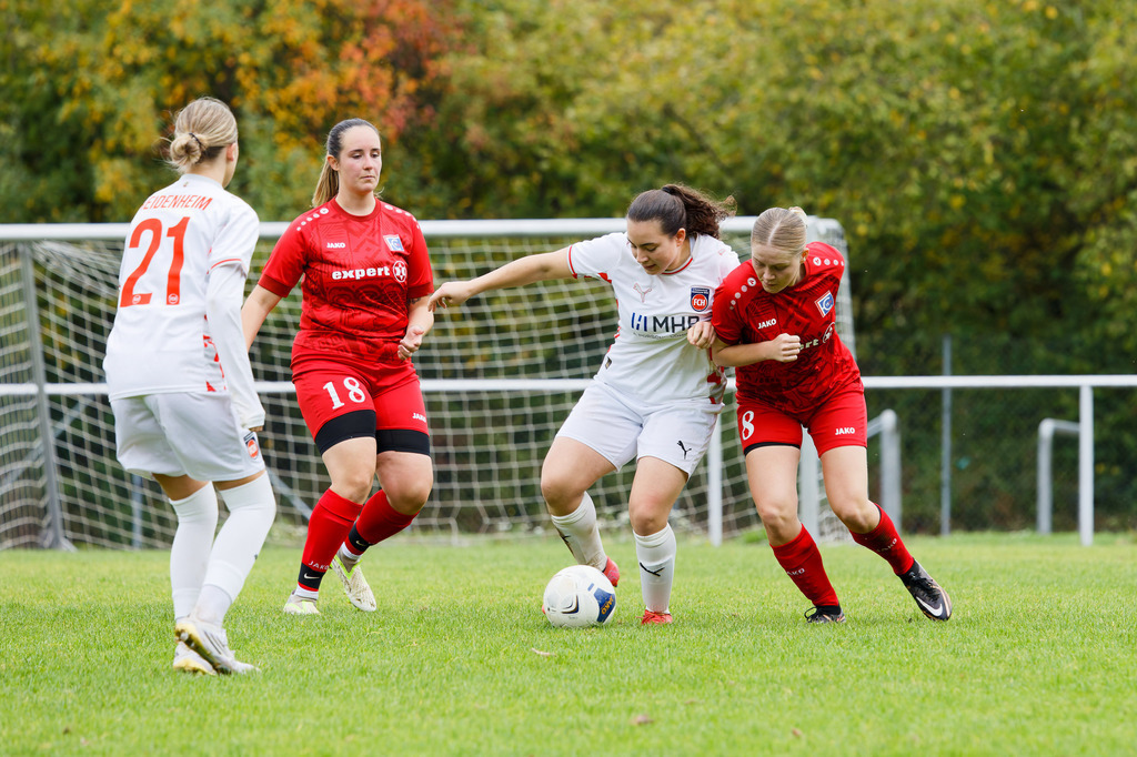 FCEFCH_251012_2697 | Fotopresso – Sportfotografie in Heidenheim & Umgebung. Professionelle Sportfotografie für unvergessliche Momente. Dynamische Action-Shots, emotionale Szenen & hochwertige Bilder. - Realisiert mit Pictrs.com