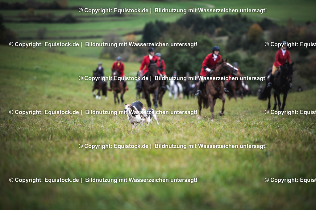 20241013_Jagd-Marbach_0219 | Foto: Thomas Hartig