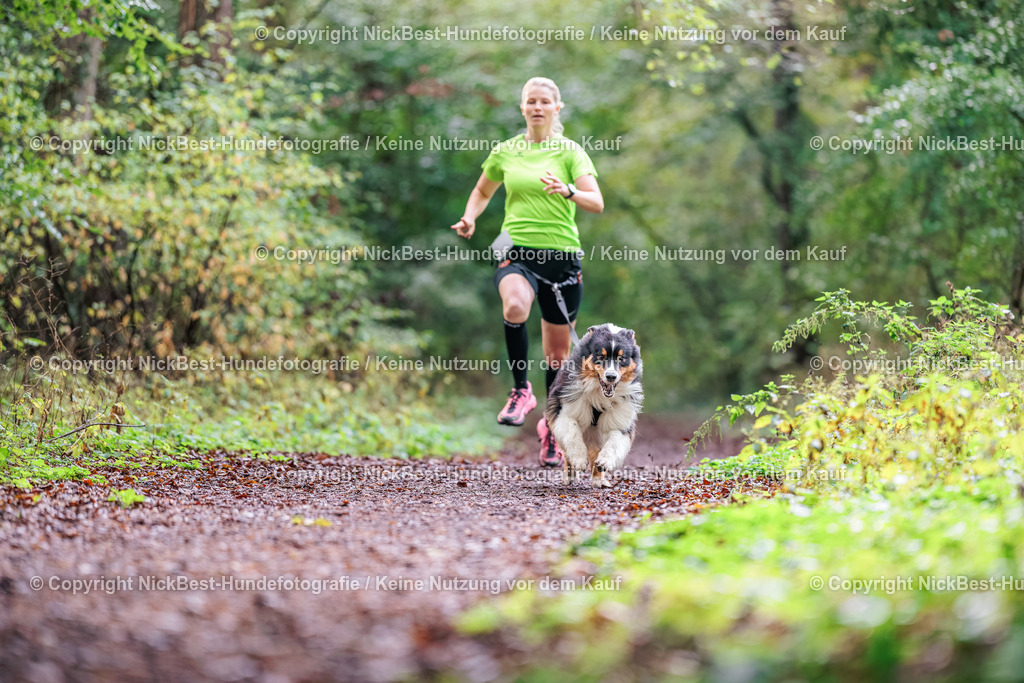 THS-HSV-Blumenthal-2026-Nickbest-Hundefotografie-0499 | Dein Hund! Dein Moment! Deine Erinnerungen! Hundefotografie in Bremen Blumenthal. Ich fange die besonderen Momente deines Vierbeiners ein – ob Indoor mit Blitzanlage oder in der freien Natur. Sicher dir dein Moment und dein Termin für eure Erinnerungen.