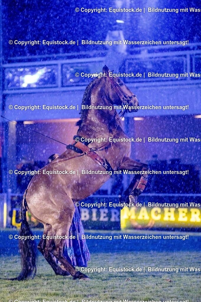 20250606_Lange-Pferdenacht_1149 | Foto: Thomas Hartig