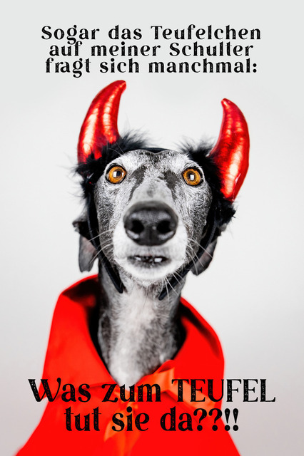 Nico, das Teufelchen | "Sogar das Teufelchen auf meiner Schulter fragt sich manchmal:Was zum TEUFEL tut sie da??!!"