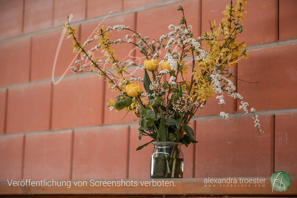 250405_Barop_01_360 | farbklaex.com